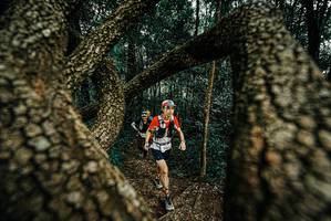 BIB: 
                            <button type="button" onclick="openModal(25674302)" class="btn btn-primary btn-sm float-right btn-popup" data-toggle="modal" data-target=".modal-high-quality">
                        <i class="fas fa-shopping-cart"></i> Add to Cart
                    </button>
                                            <button type="button" onclick="isThisMe(25674302, true)" class="btn btn-success btn-sm float-right btn-popup btn-isme hidden" data-toggle="tooltip" data-placement="bottom" title="นี่คือรูปของคุณใช่ไหม คลิกที่นี่เพื่อเอาเข้าอัลบั้ม">
                        <i class="fas fa-plus"></i> Add to album
                    </button>
                    <button type="button" onclick="isThisMe(25674302, false)" class="btn btn-warning btn-sm float-right btn-popup btn-isnotme hidden">
                        <i class="fas fa-ban"></i> Remove from album
                    </button>